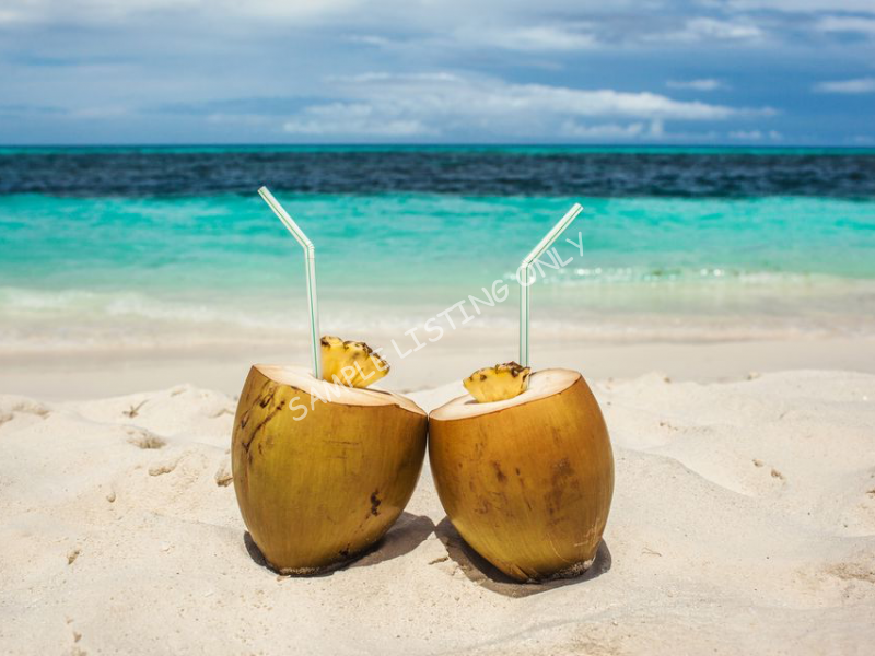 Fresh Seychelles Coconut